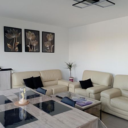 Le Belle Vue Apartment Saint-Etienne  Bagian luar foto